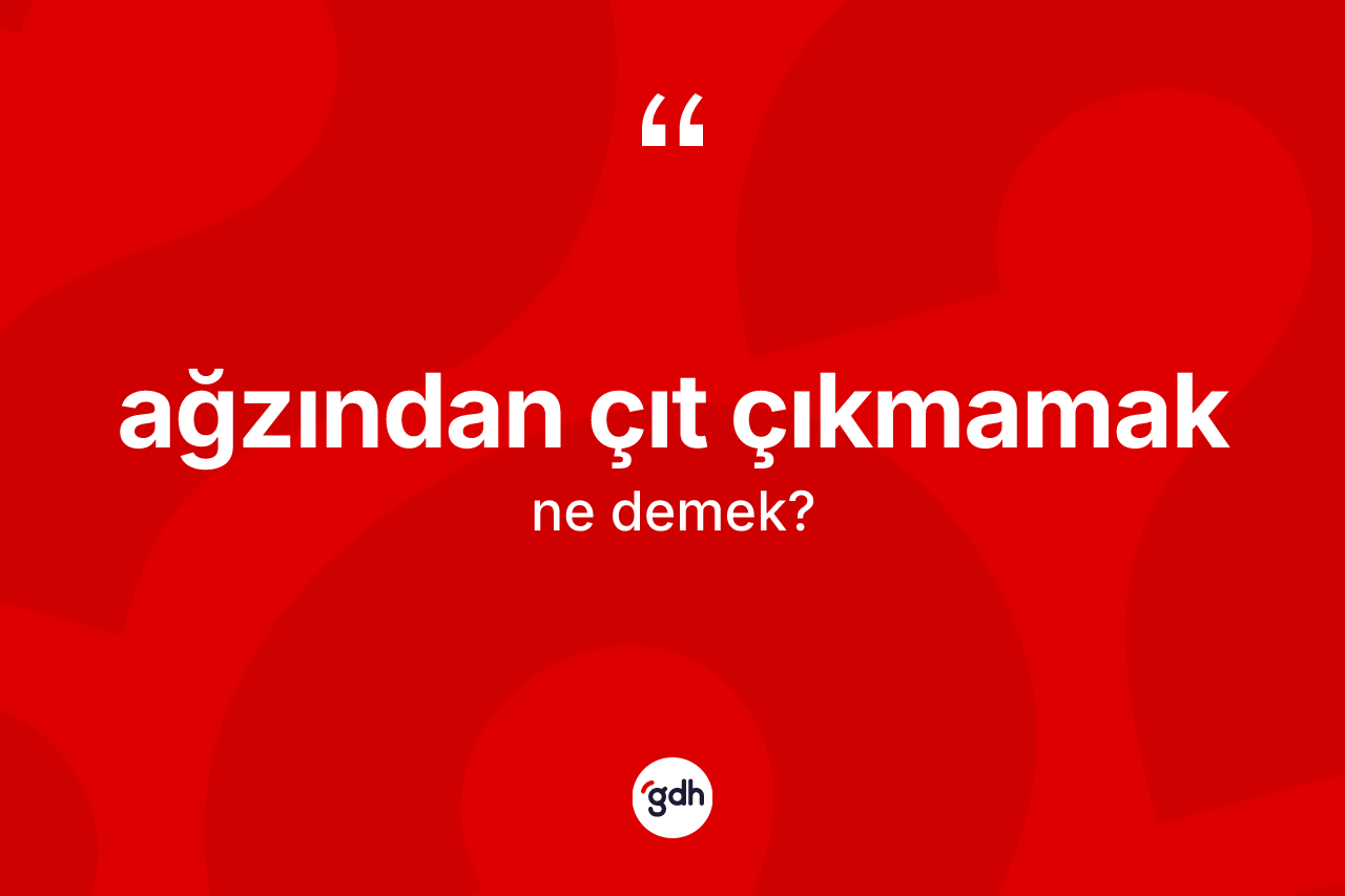 Ağzından çıt çıkmamak ifadesi ne demektir? Ağzından çıt çıkmamak ifadesinin TDK anlamı nedir?