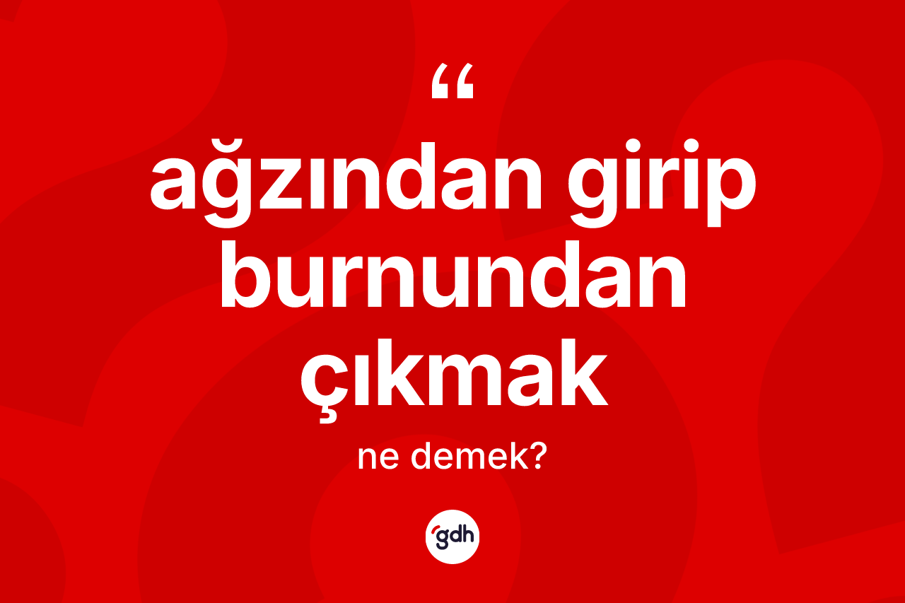 Ağzından girip burnundan çıkmak ifadesinin tanımı nedir?