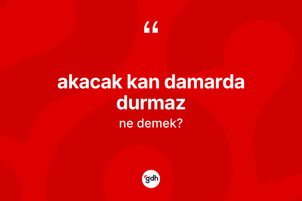 Akacak kan damarda durmaz ifadesinin tanımı nedir? Akacak kan damarda durmaz sözü nerede kullanılır?