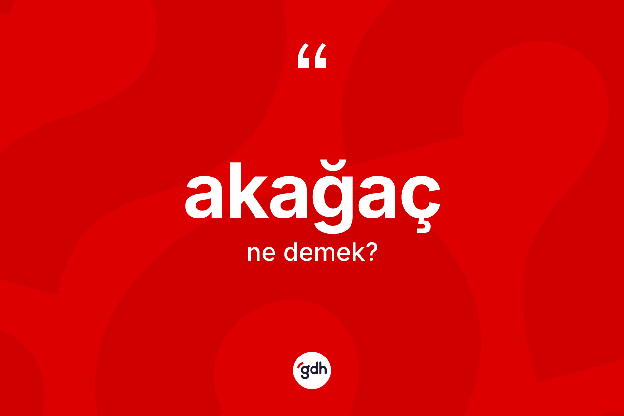 Akağaç kelimesi ne anlama gelir? Akağaç kelimesinin TDK anlamı nedir?