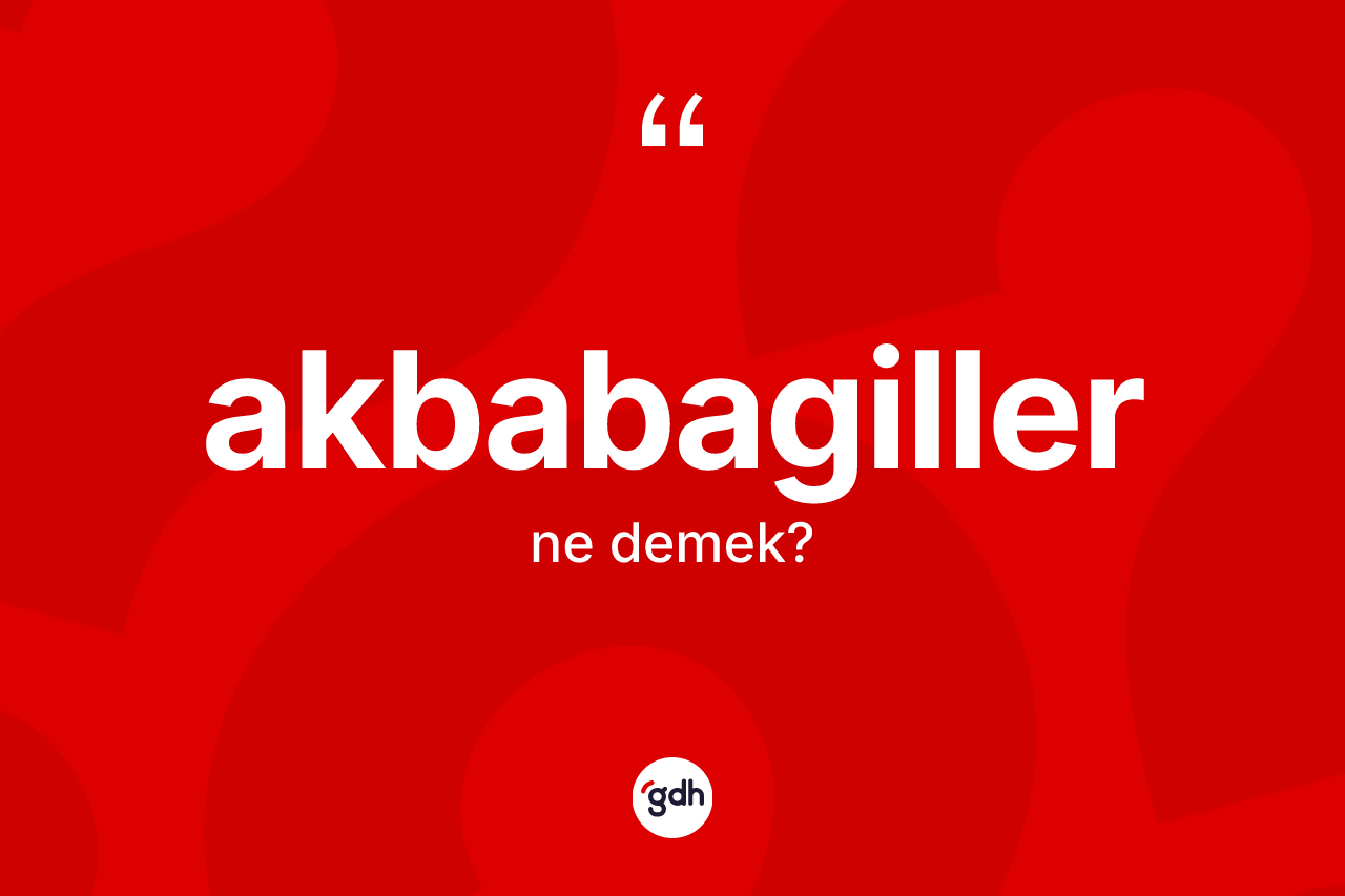 Akbabagiller kelimesinin sözlükteki tanımı nedir?
