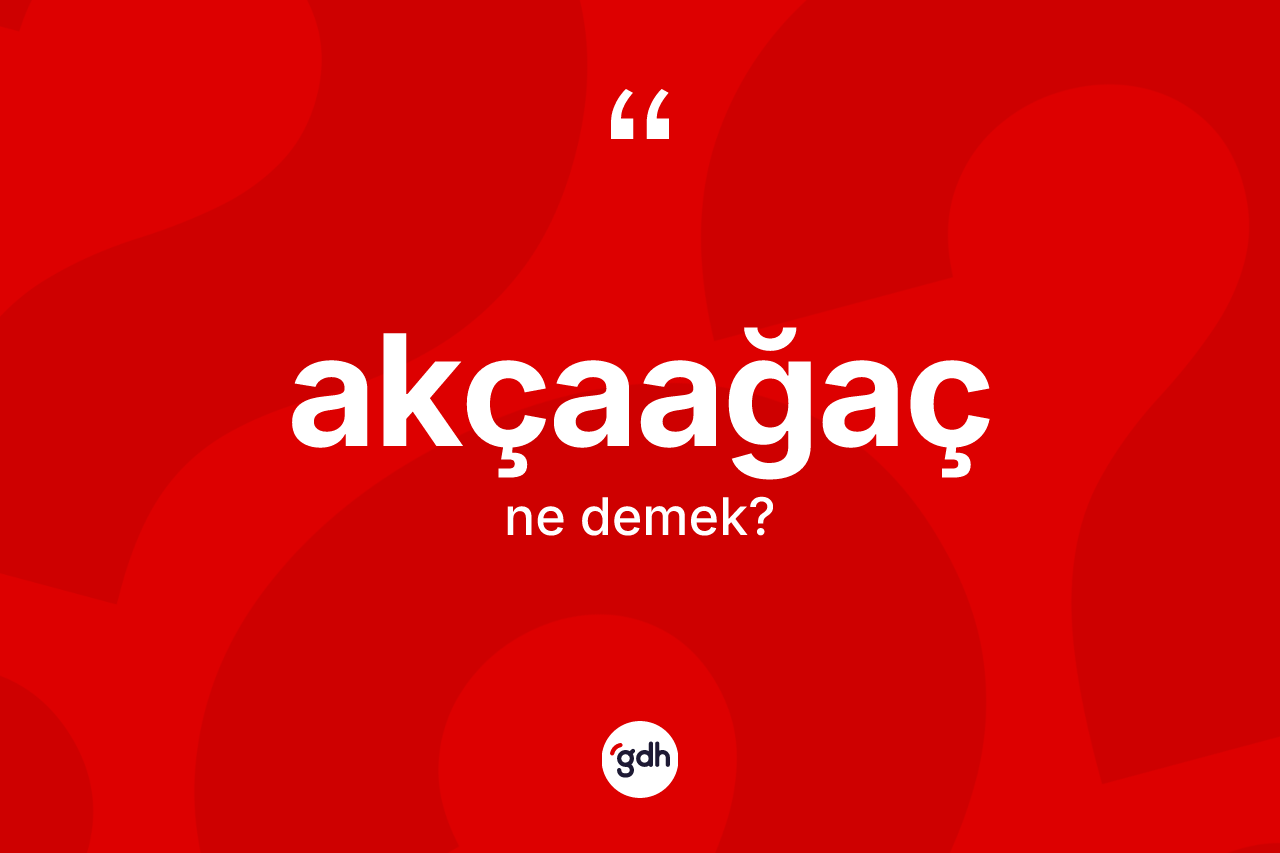 Akçaağaç ne demek? Akçaağacın TDK'ya göre anlamı nedir?