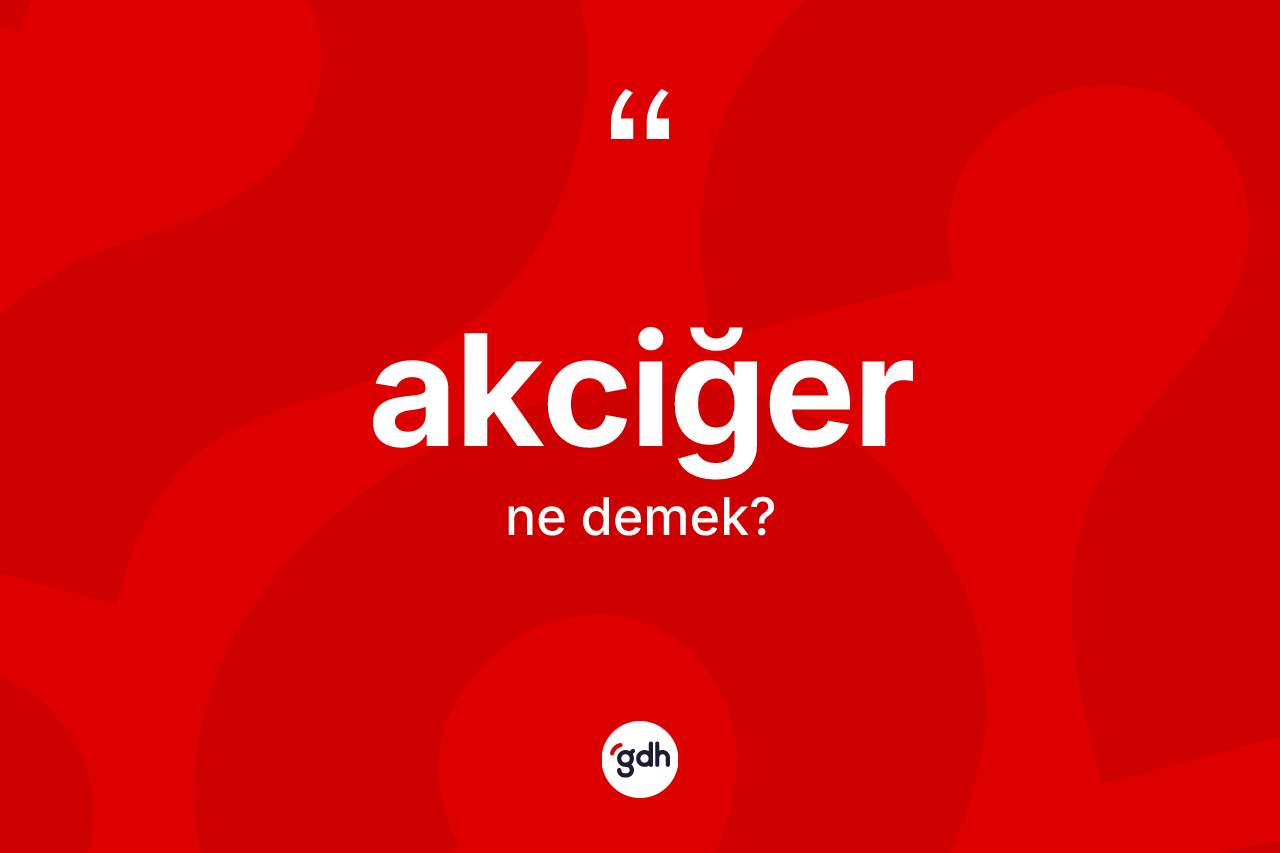 Akciğer kelimesinin tanımı nedir? Akciğerin TDK'ya göre anlamı nedir?
