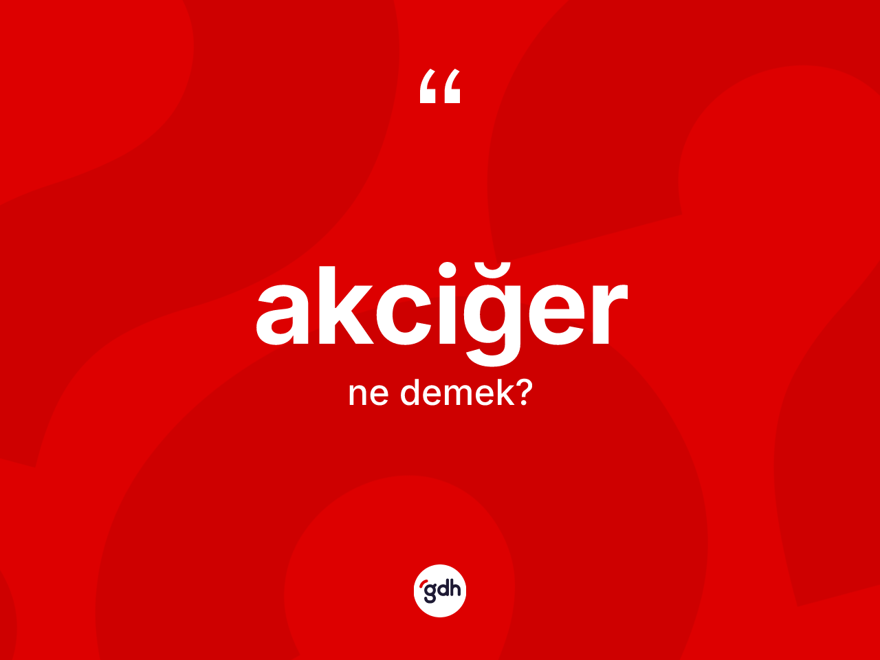 Akciğer kelimesinin tanımı nedir? Akciğerin TDK'ya göre anlamı nedir?