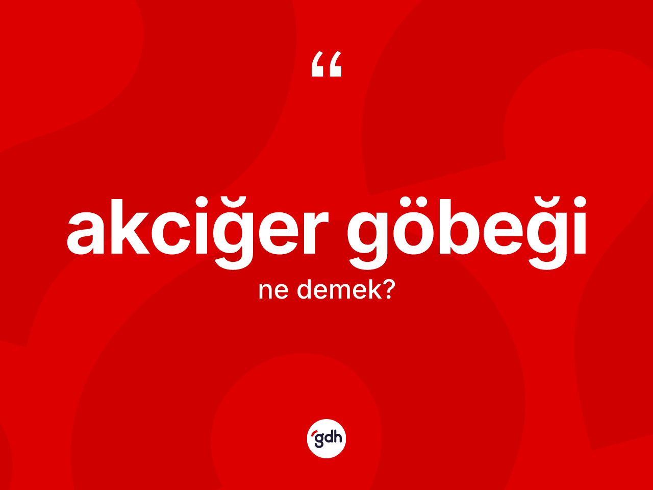 Akciğer göbeği kelimesinin anlamı nedir? Akciğer göbeğinin kısaca tanımı nedir?