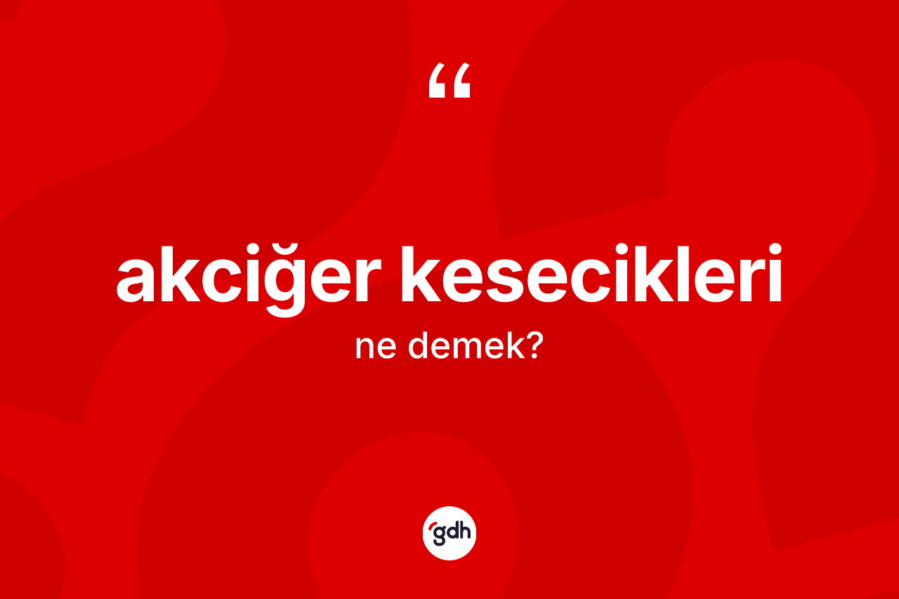 Akciğer kesecikleri ne anlama gelir? Akciğer kesecikleri kelimesinin özellikleri nelerdir?