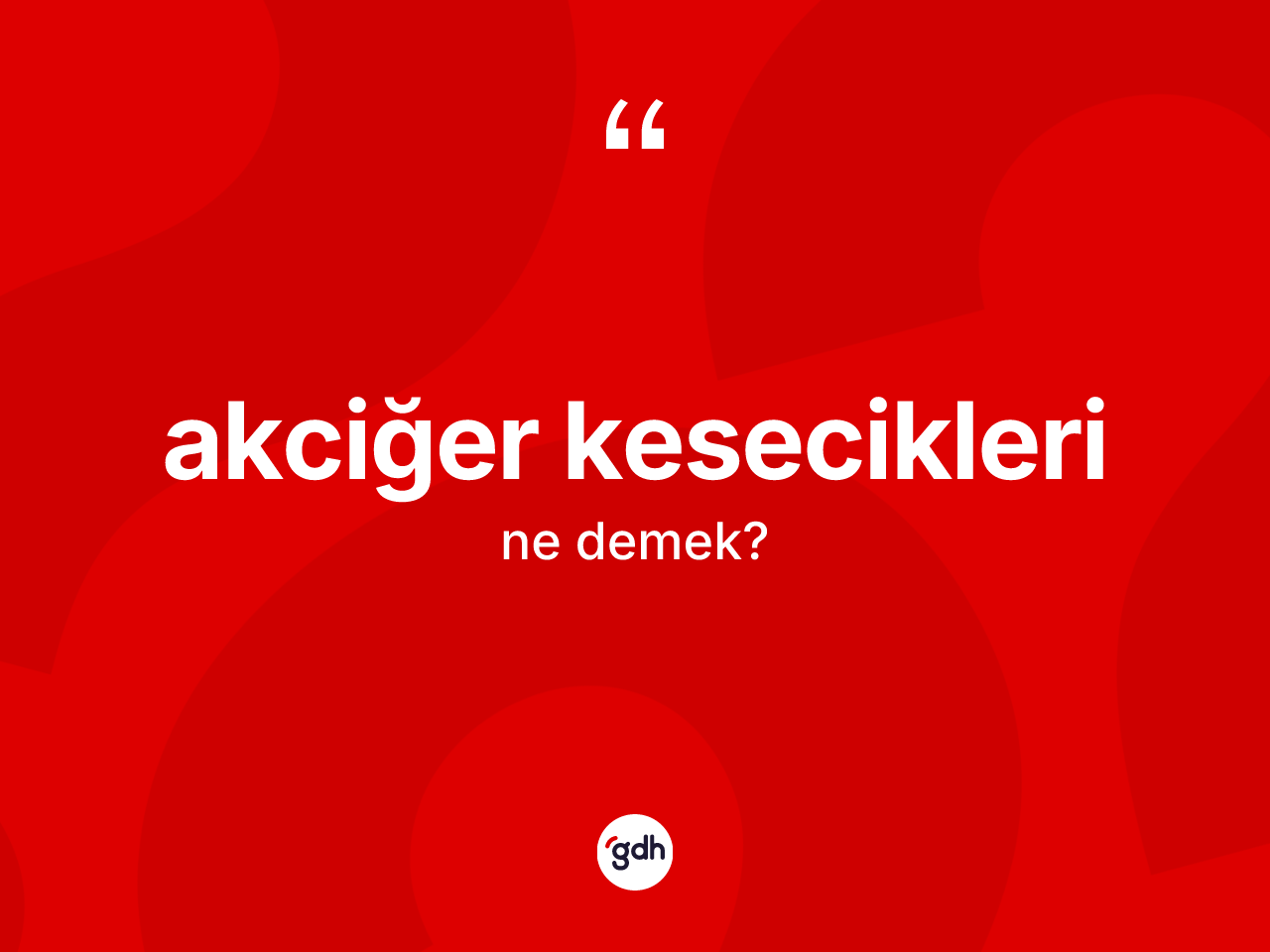 Akciğer kesecikleri ne anlama gelir? Akciğer kesecikleri kelimesinin özellikleri nelerdir?