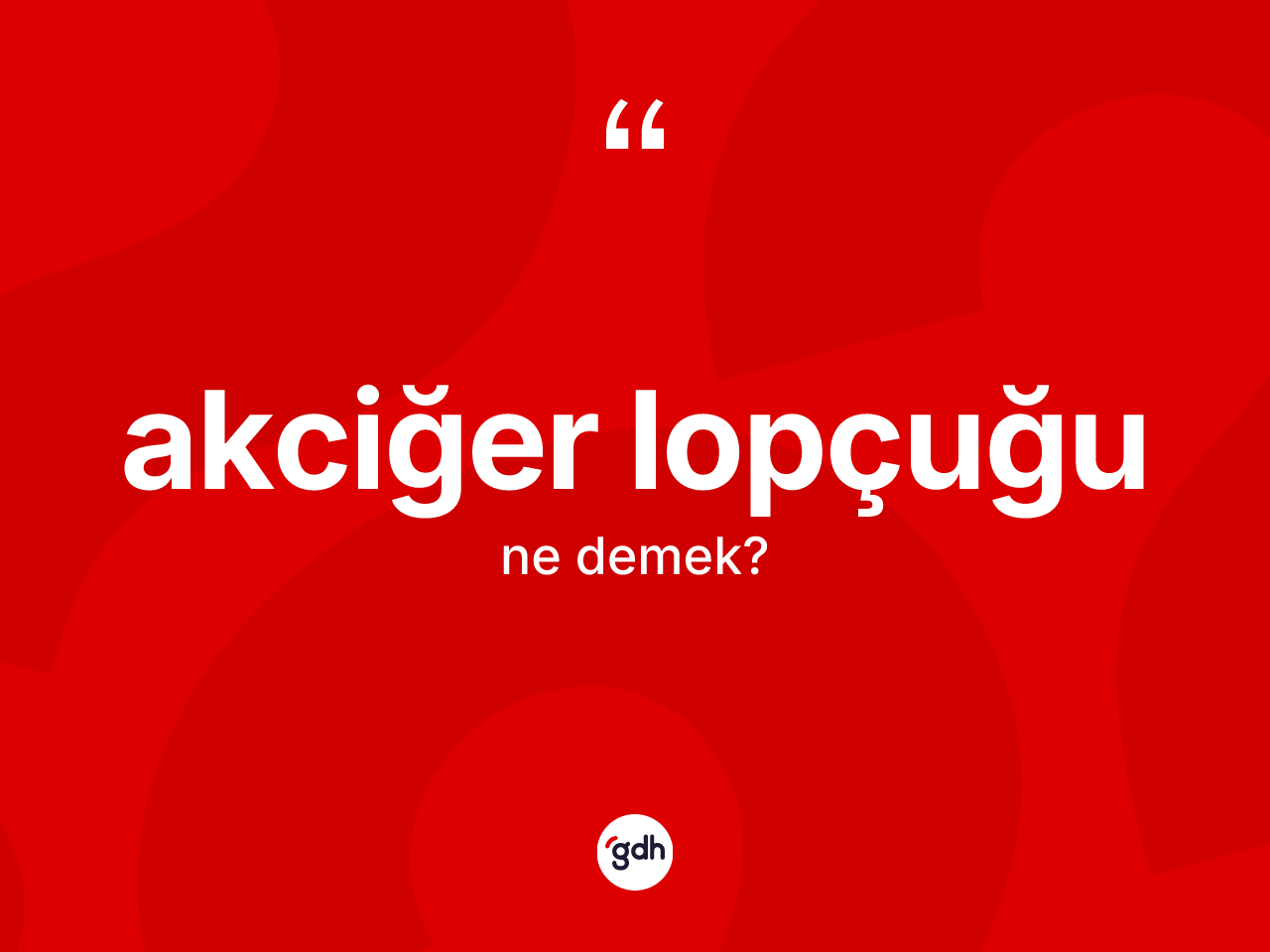 Akciğer lopçuğu kelimesinin sözlükteki tanımı nedir? Akciğer lopçuğu kelimesinin TDK'ya göre açıklaması nedir?