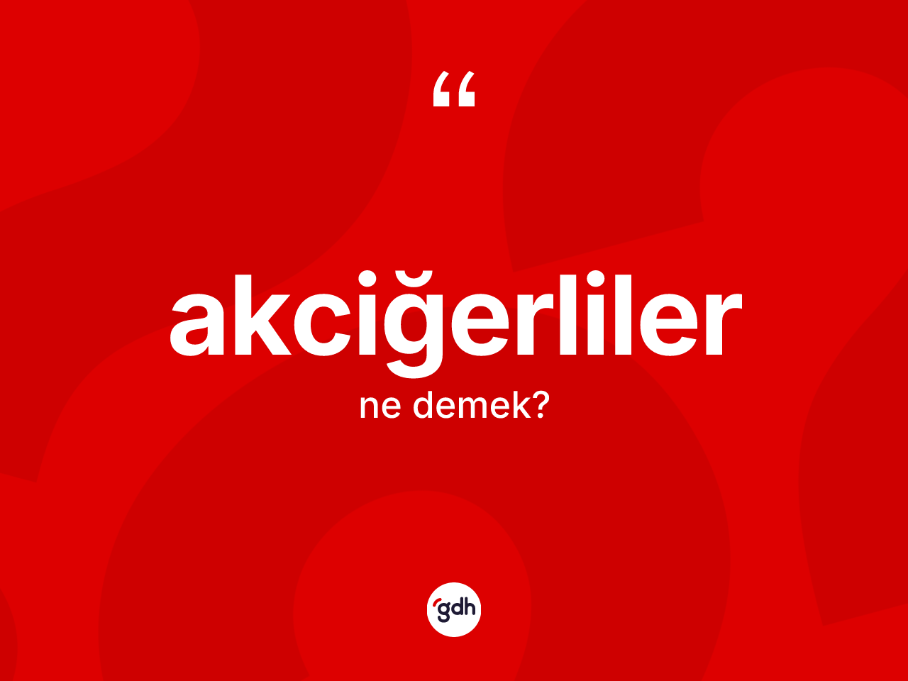 Akciğerliler kelimesinin anlamı nedir? Akciğerliler kelimesinin kaç farklı anlamı var?