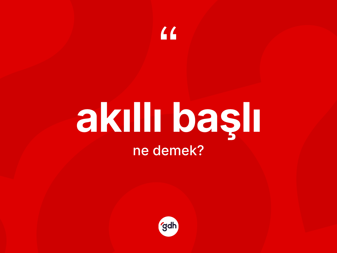 Akıllı başlı kelimesinin sözlükteki tanımı nedir? Akıllı başlının kısaca tanımı nedir?