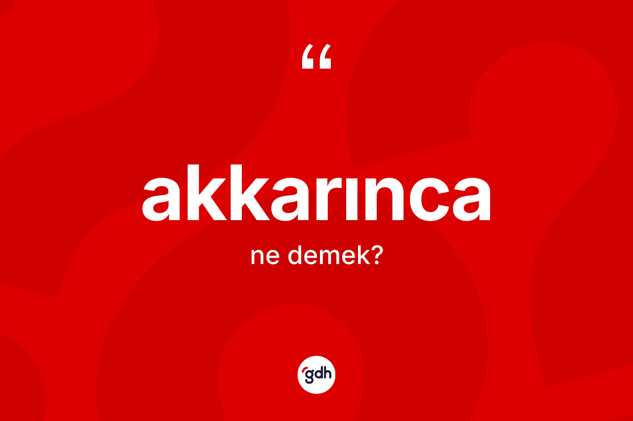 Akkarınca kelimesinin sözlükteki tanımı nedir? Akkarıncanın TDK'ya göre anlamı nedir?