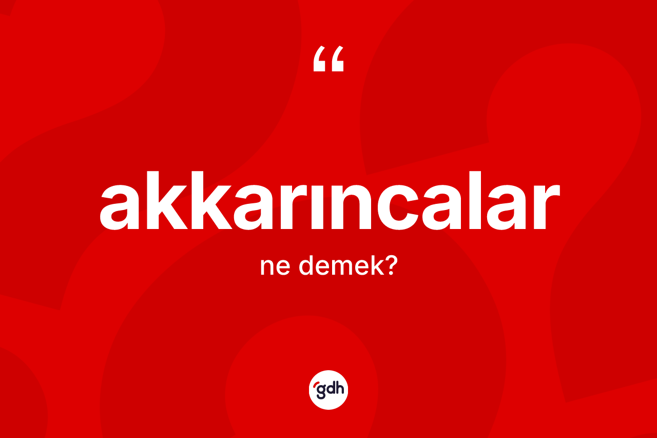Akkarıncalar kelimesinin anlamı nedir? Akkarıncaların kısaca tanımı nedir?