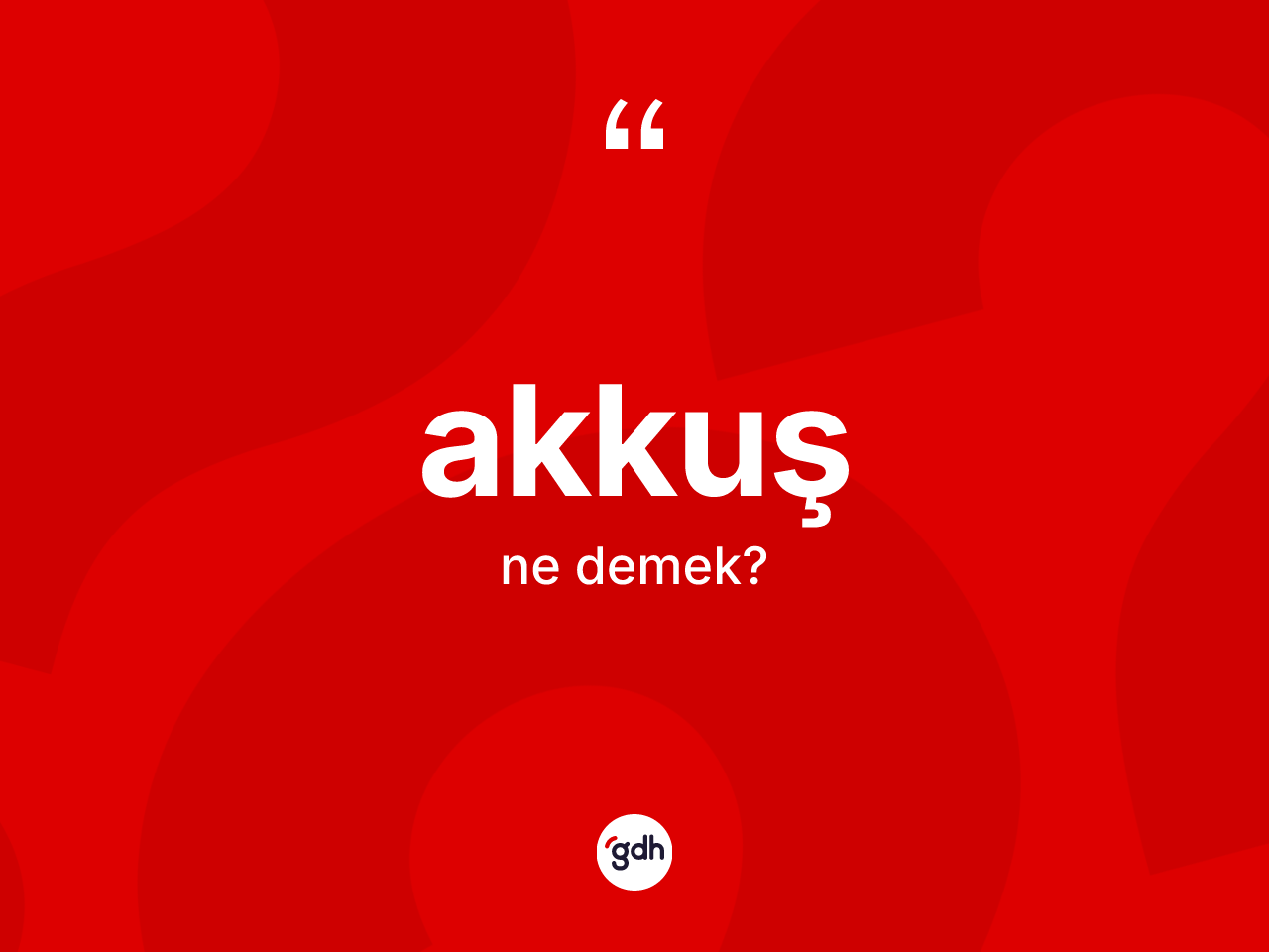 Akkuş kelimesi ne anlama gelir? Akkuş kelimesinin TDK'ya göre açıklaması nedir?