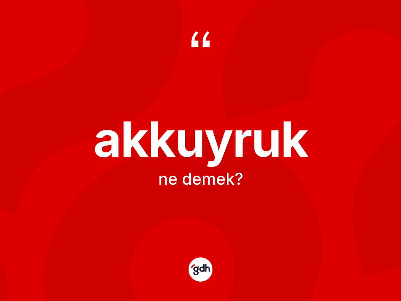 Akkuyruk ne anlama gelir? Akkuyruk kelimesinin kaç farklı anlamı var?