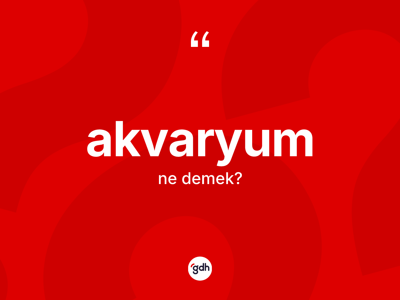 Akvaryum nedir? Akvaryum kelimesinin özellikleri nelerdir?