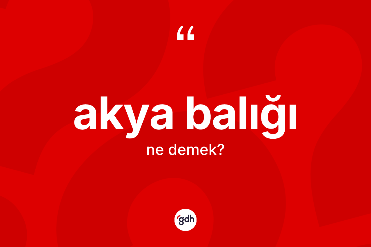Akya balığı ne anlama gelir? Akya balığının TDK'ya göre anlamı nedir?