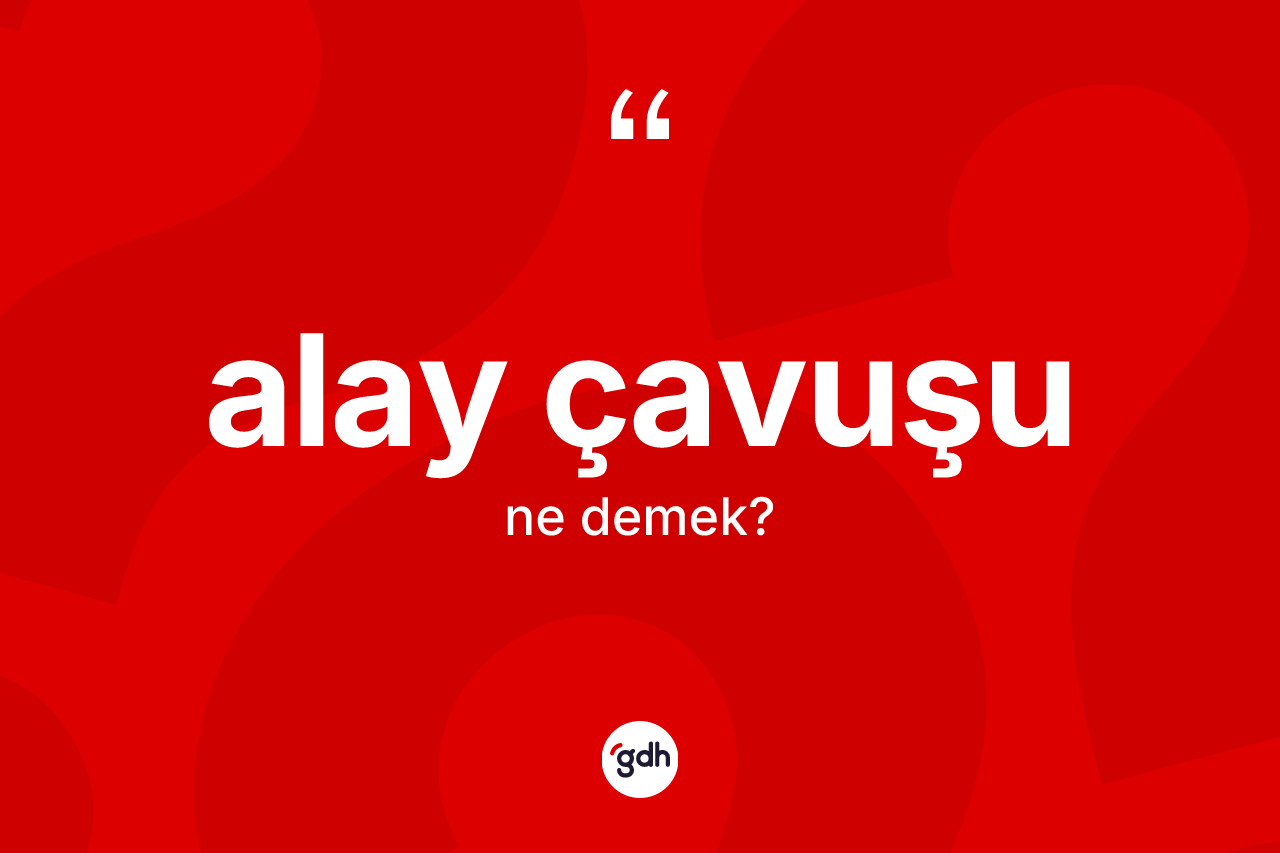 Alay çavuşu kelimesinin anlamı nedir? Alay çavuşu kelimesinin TDK'ya göre açıklaması nedir?