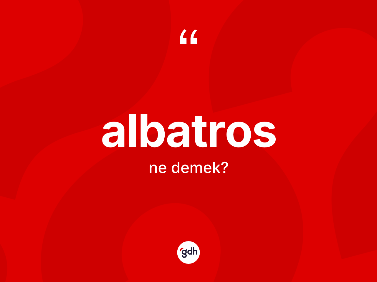Albatros ne demek? Albatrosun kısaca tanımı nedir?