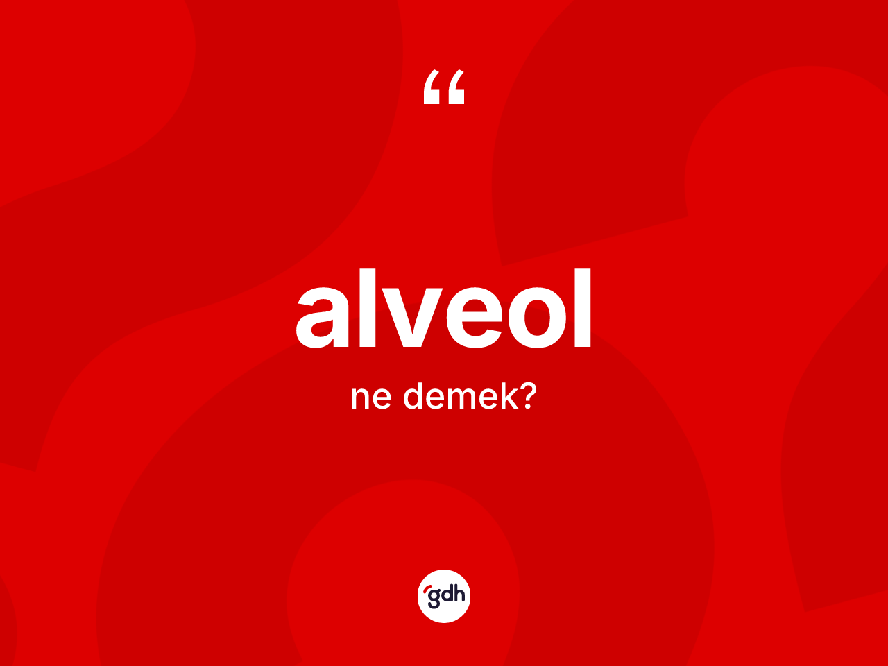 Alveol kelimesi ne anlama gelir? Alveol kelimesinin kaç farklı anlamı var?
