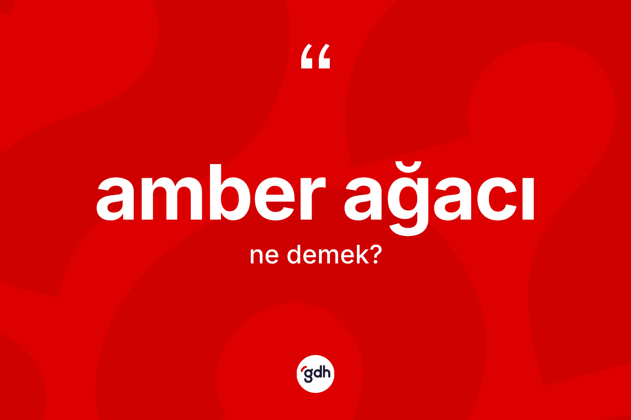 Amber ağacı kelimesinin sözlükteki tanımı nedir?