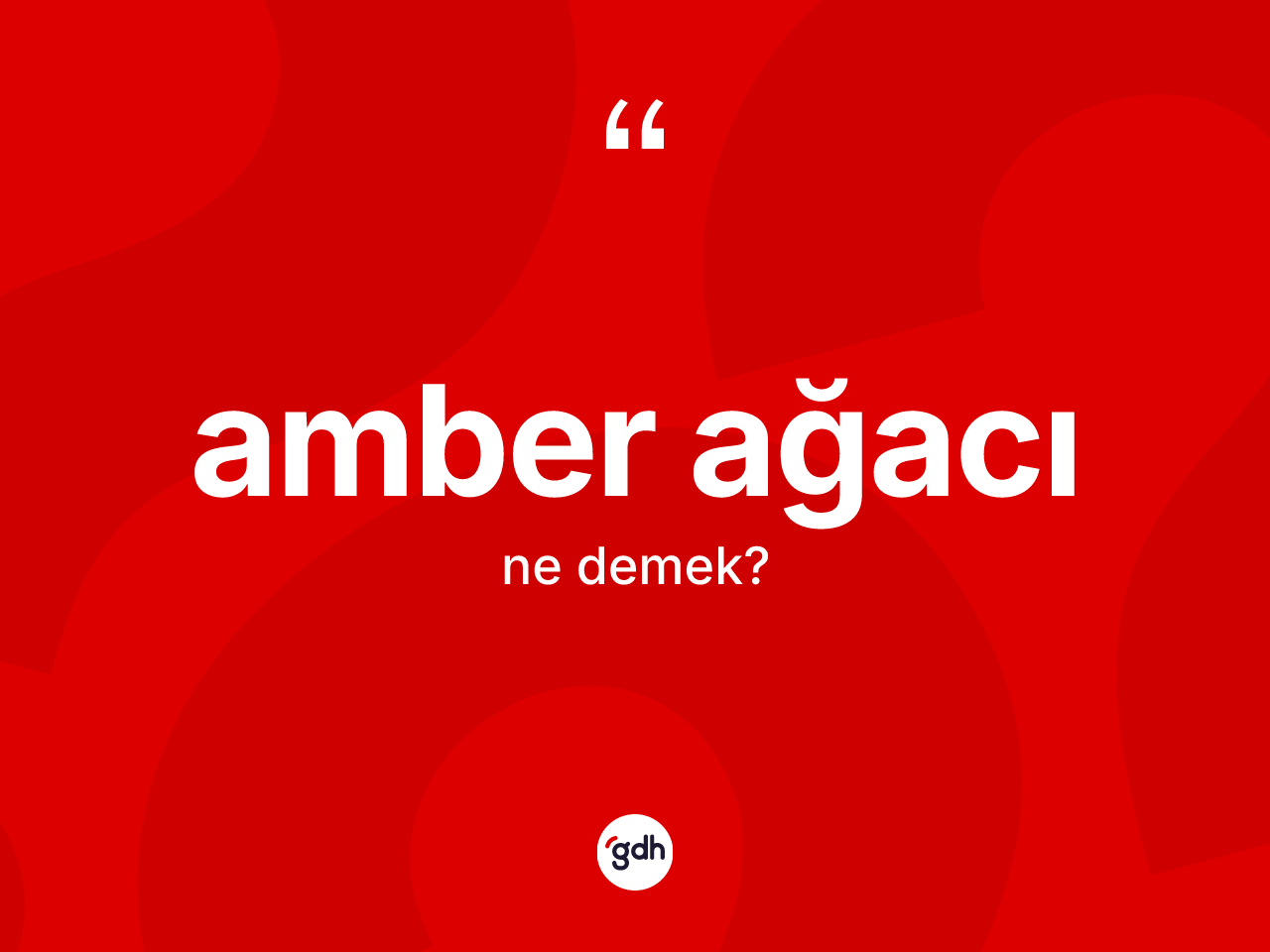 Amber ağacı kelimesinin sözlükteki tanımı nedir? Amber ağacının TDK'ya göre anlamı nedir?
