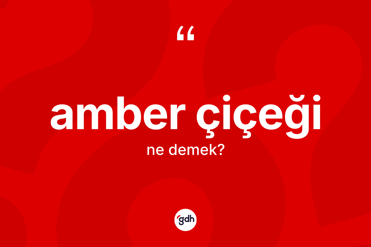 Amber çiçeği kelimesinin sözlükteki tanımı nedir? Amber çiçeği kelimesinin özellikleri nelerdir?