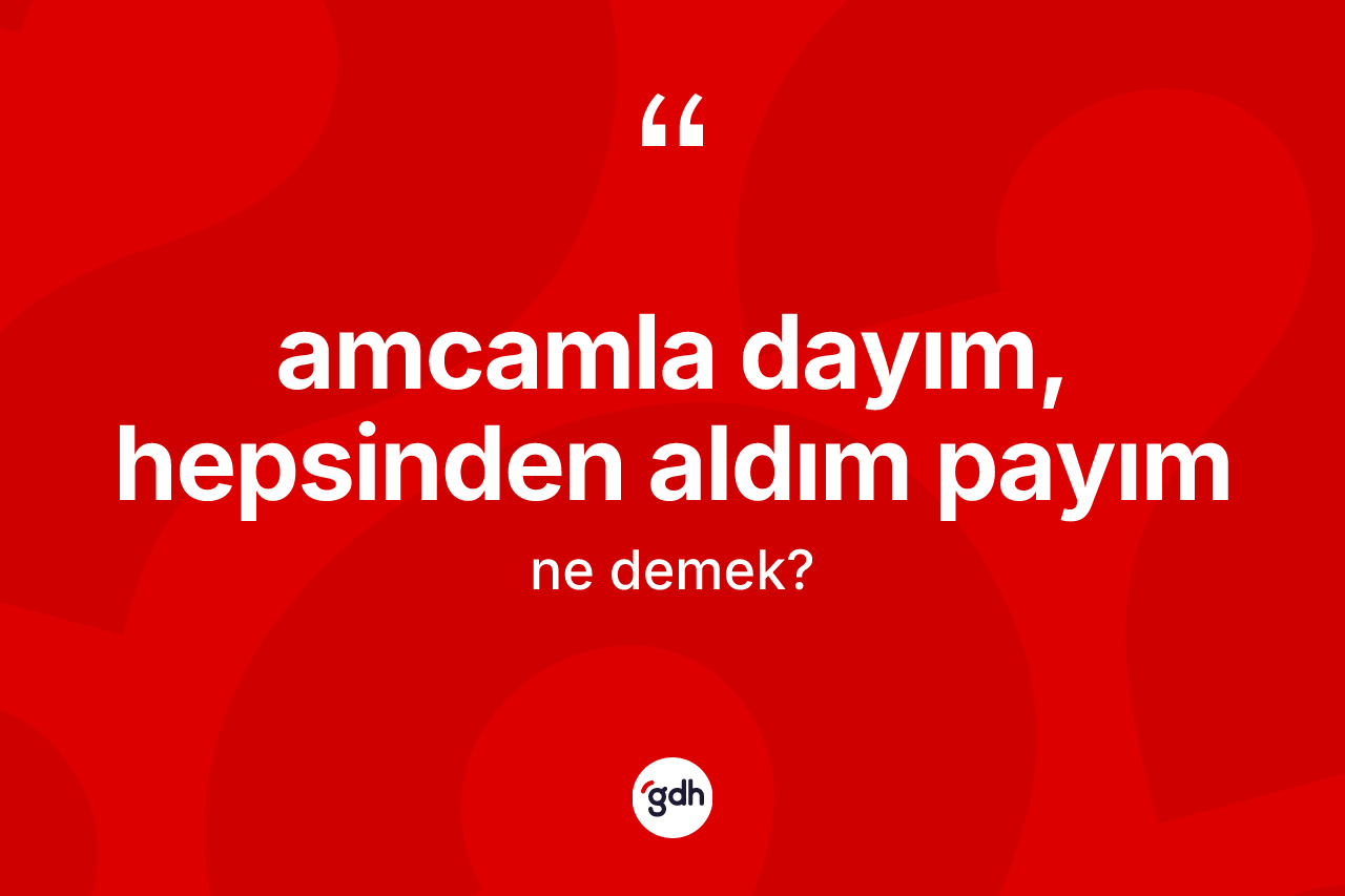 Amcamla dayım, hepsinden aldım payım ifadesinin kısaca anlamı nedir?