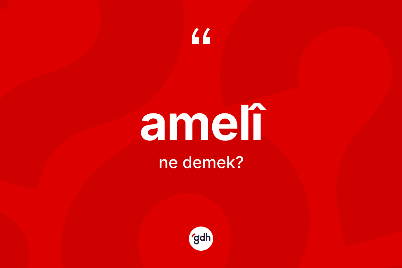 Amelî kelimesi nedir? Amelî kelimesinin kaç farklı anlamı var?