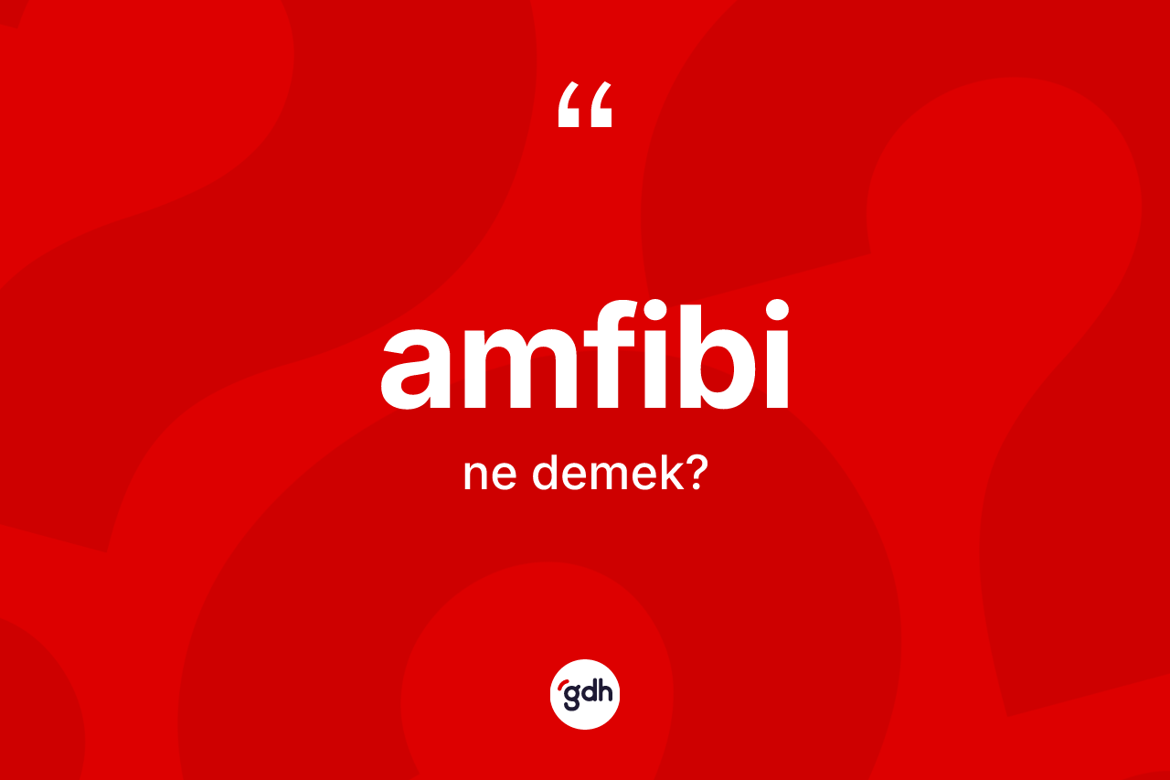 Amfibi kelimesi nedir? Amfibi kelimesinin kaç farklı anlamı var?