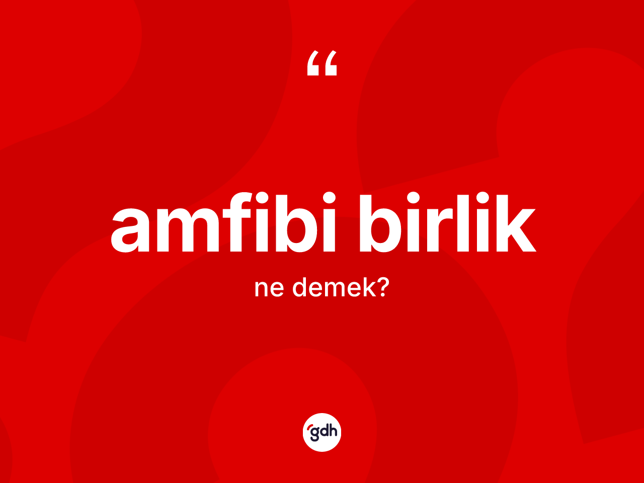Amfibi birlik kelimesinin anlamı nedir? Amfibi birliğin kısaca tanımı nedir?