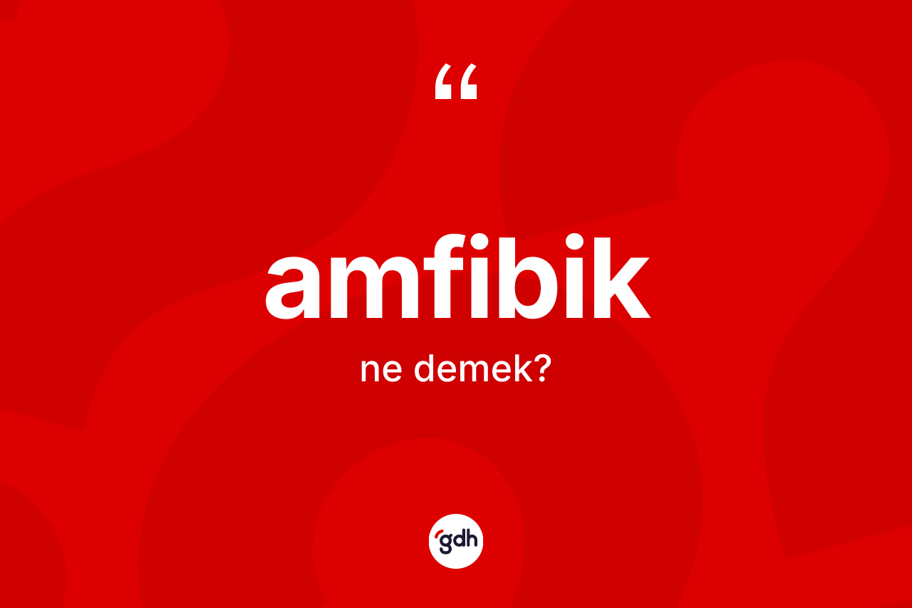 Amfibik kelimesinin tanımı nedir? Amfibiğin kısaca tanımı nedir?