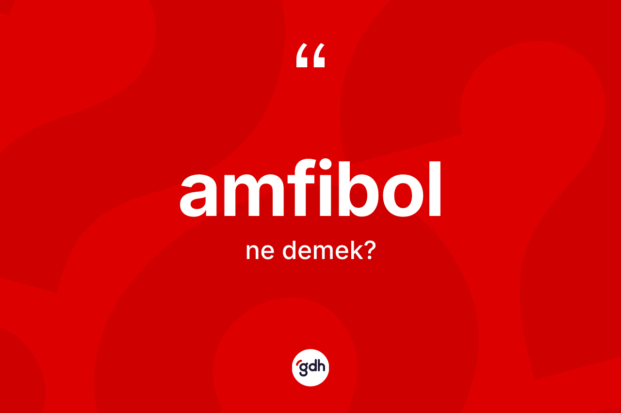 Amfibol ne demek? Amfibol kelimesinin TDK anlamı nedir?