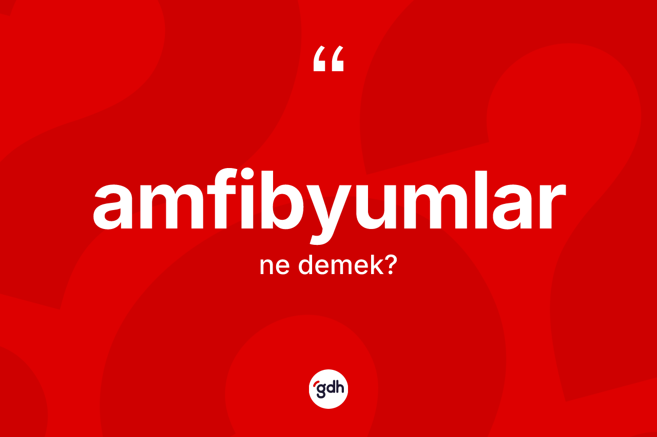 Amfibyumlar kelimesinin anlamı nedir? Amfibyumlar kelimesinin kaç farklı anlamı var?