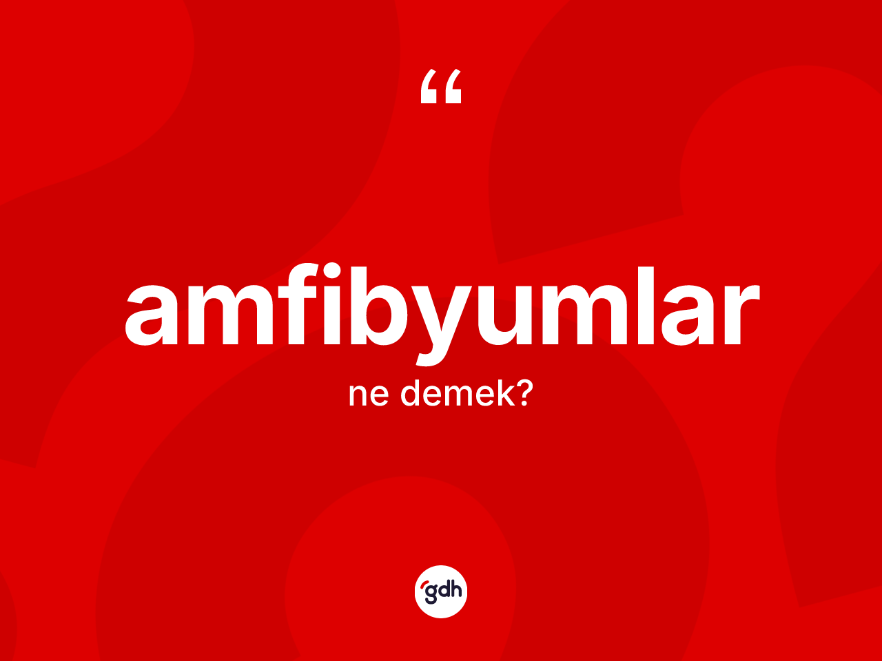 Amfibyumlar kelimesinin anlamı nedir? Amfibyumlar kelimesinin kaç farklı anlamı var?