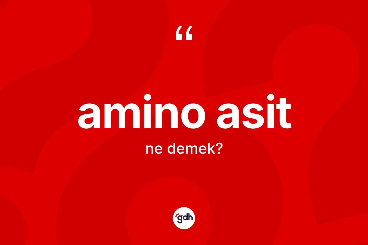 Amino asit kelimesinin anlamı nedir?