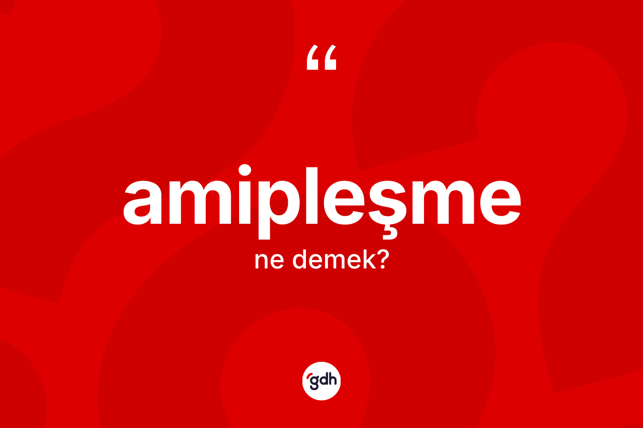 Amipleşme nedir? Amipleşmenin TDK'ya göre anlamı nedir?