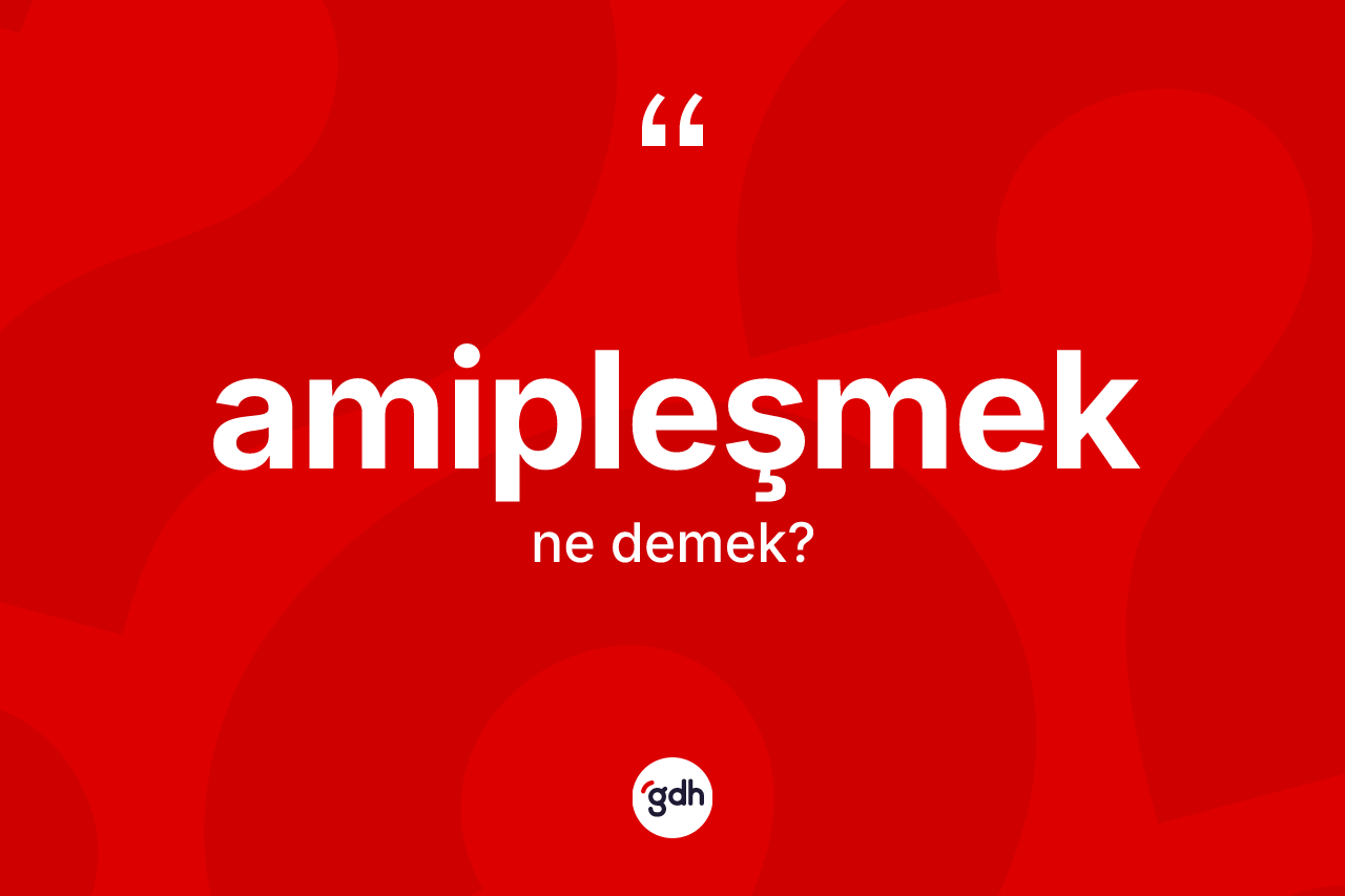 Amipleşmek ne anlama gelir? Amipleşmeğin TDK'ya göre anlamı nedir?