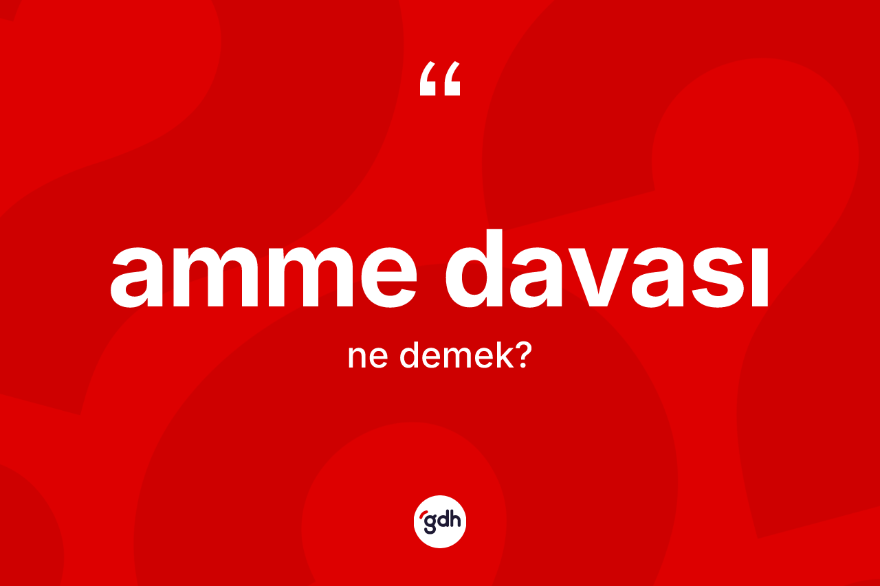 Amme davası kelimesi ne demek? Amme davasının TDK'ya göre anlamı nedir?