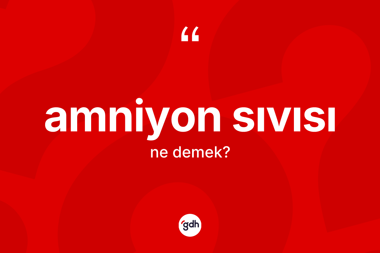 Amniyon sıvısı kelimesinin anlamı nedir? Amniyon sıvısı kelimesinin TDK'ya göre açıklaması nedir?