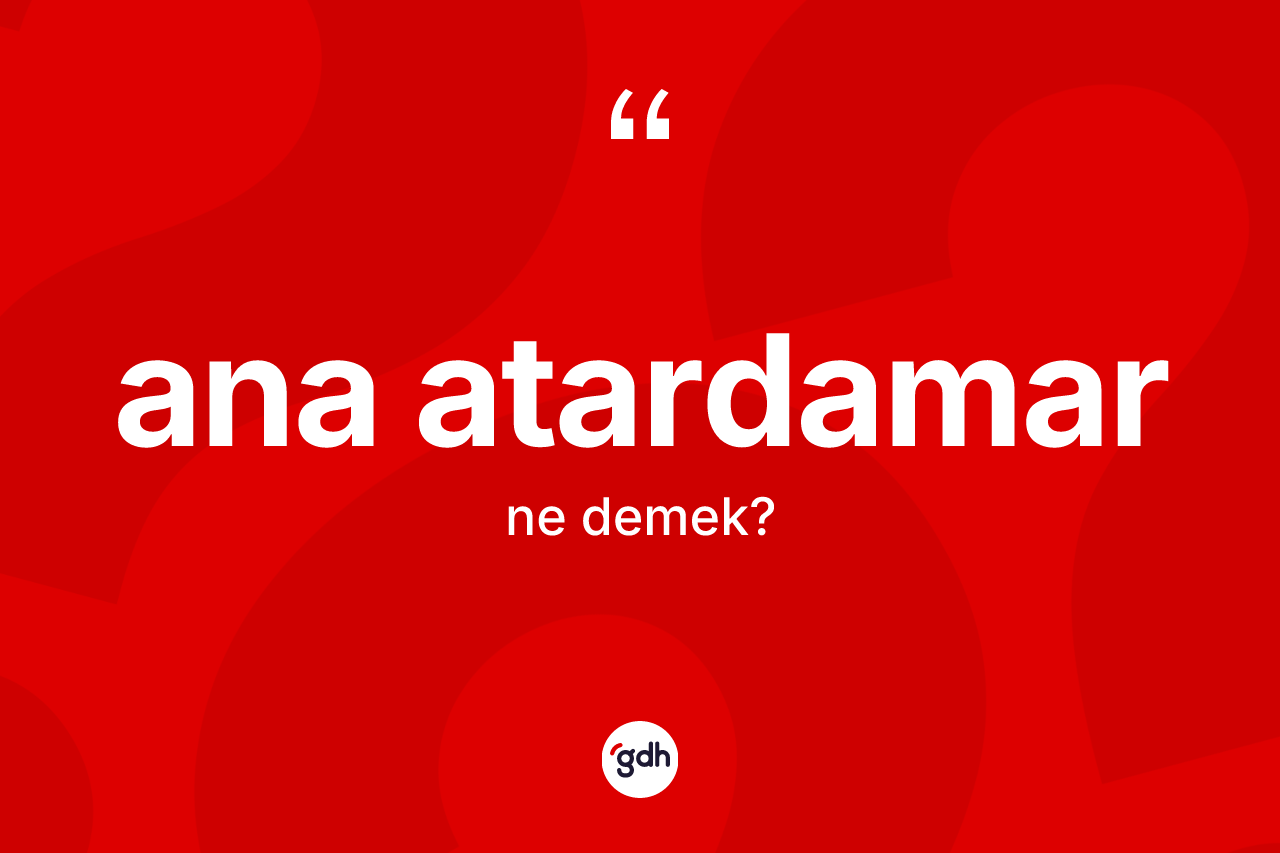 Ana atardamar nedir?