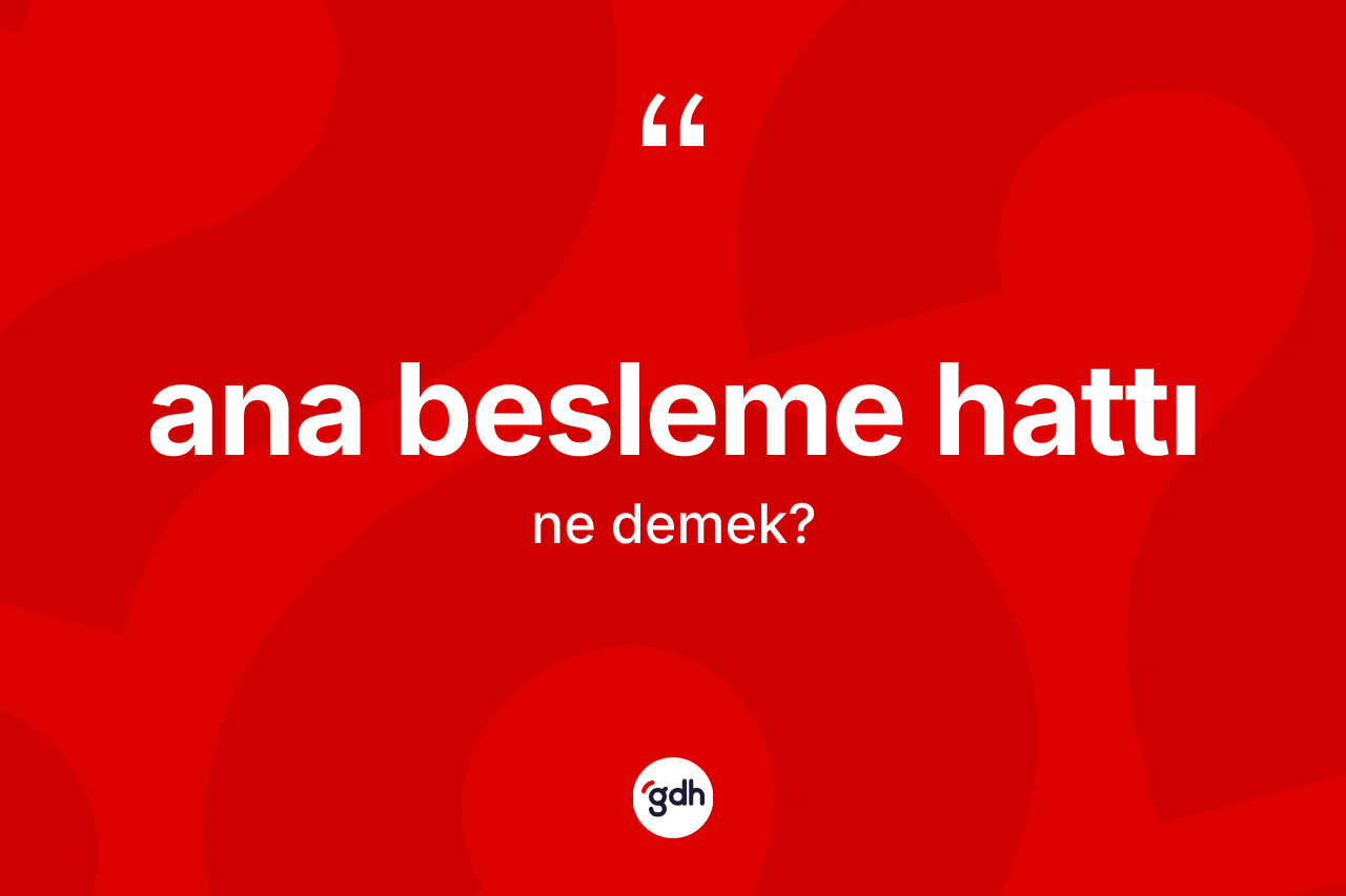 Ana besleme hattı kelimesinin tanımı nedir?