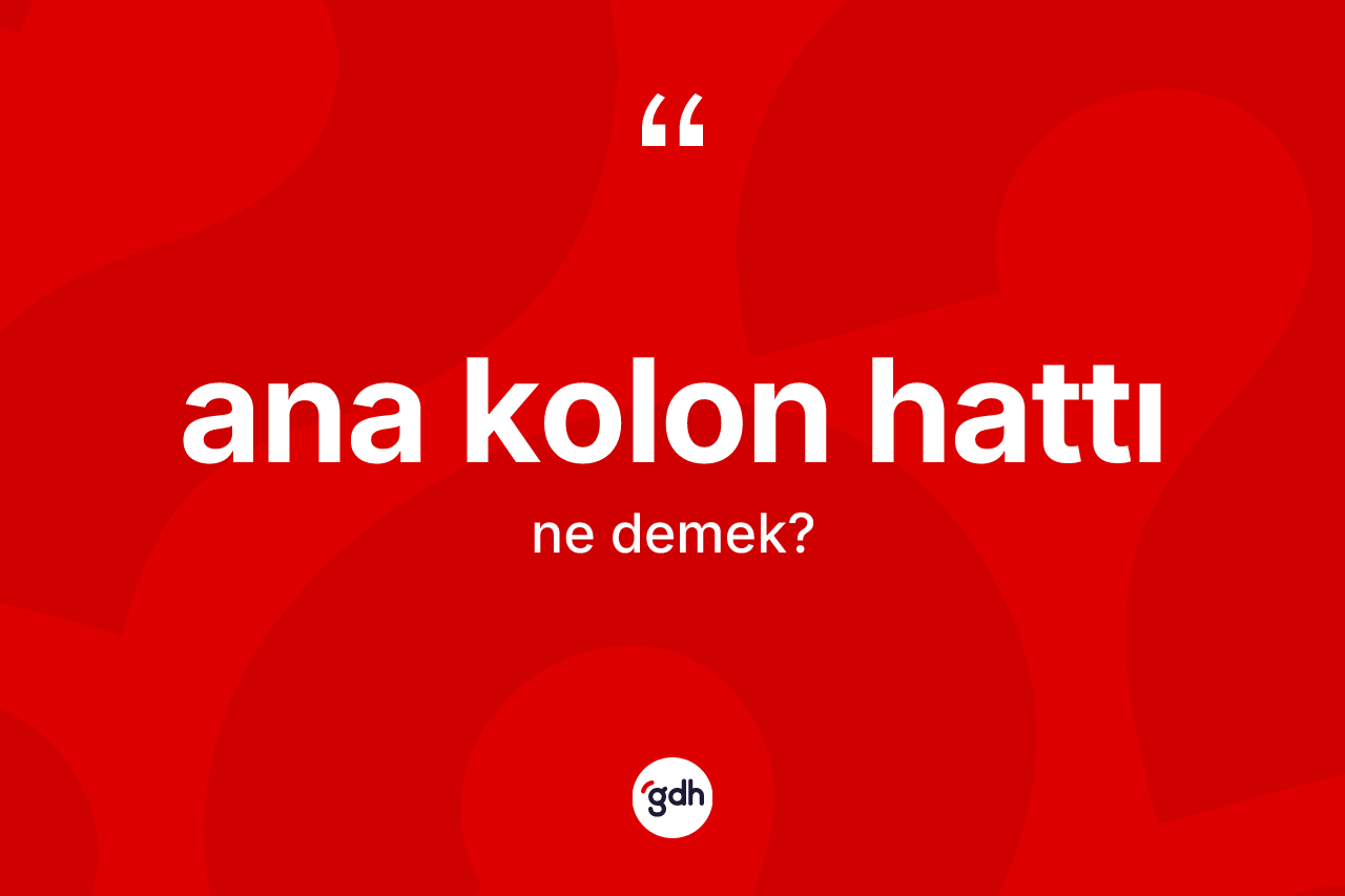 Ana kolon hattı kelimesinin anlamı nedir?