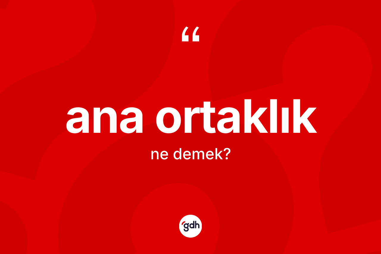 Ana ortaklık nedir? Ana ortaklığın sözlükteki anlamı nedir?