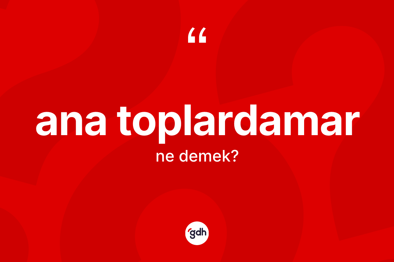 Ana toplardamar kelimesinin tanımı nedir? Ana toplardamarın TDK'ya göre anlamı nedir?