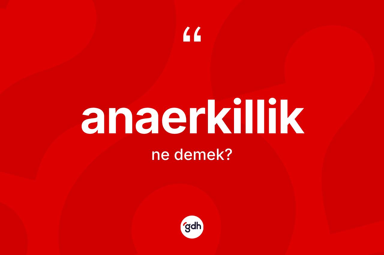 Anaerkillik kelimesinin tanımı nedir?
