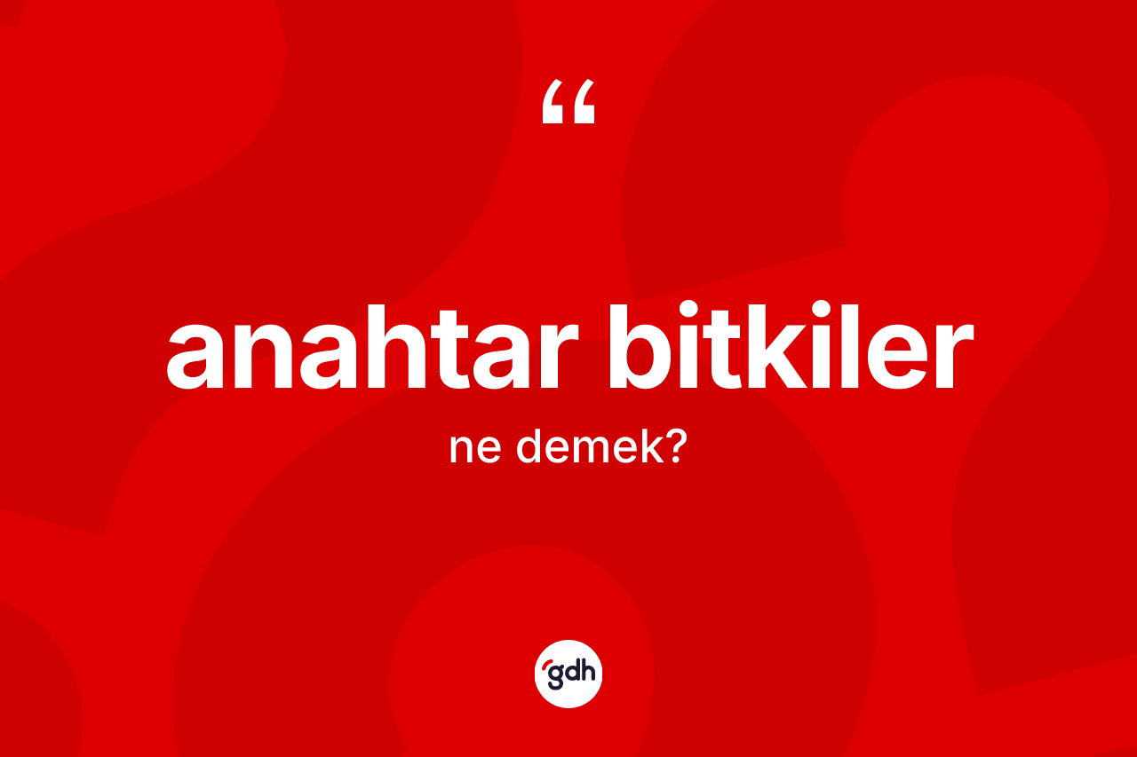 Anahtar bitkiler ne demek? Anahtar bitkilerin TDK'ya göre anlamı nedir?