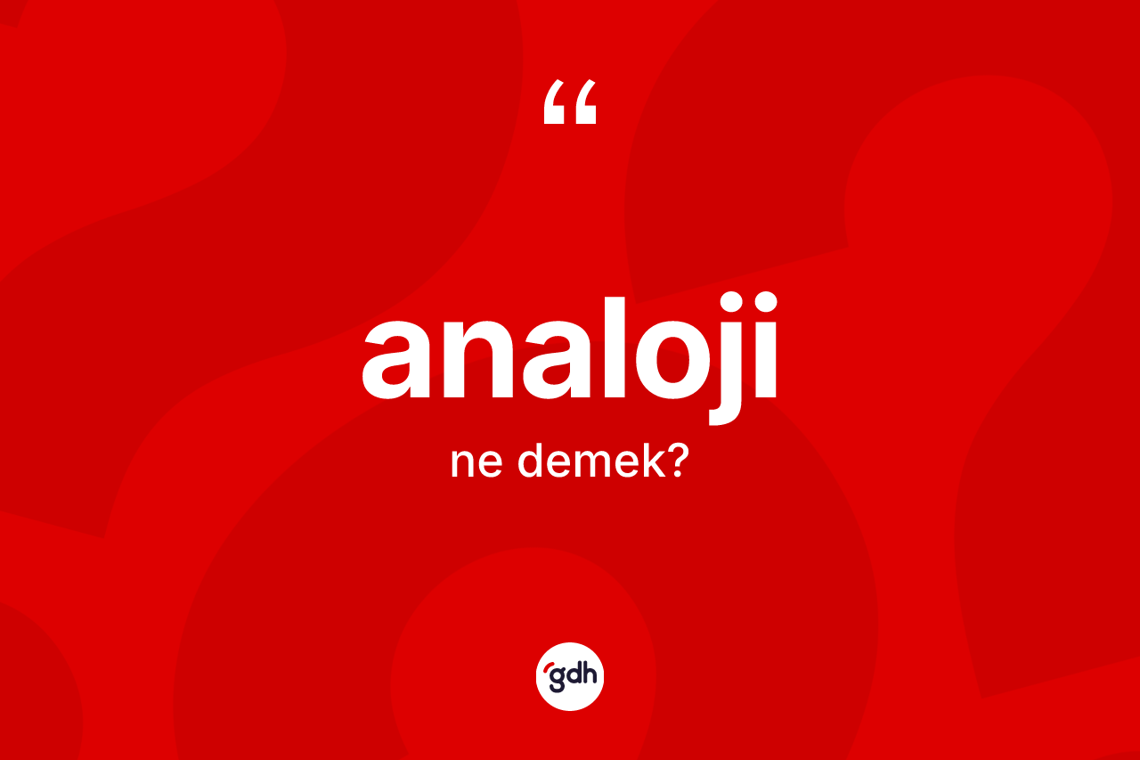 Analoji ne demek?