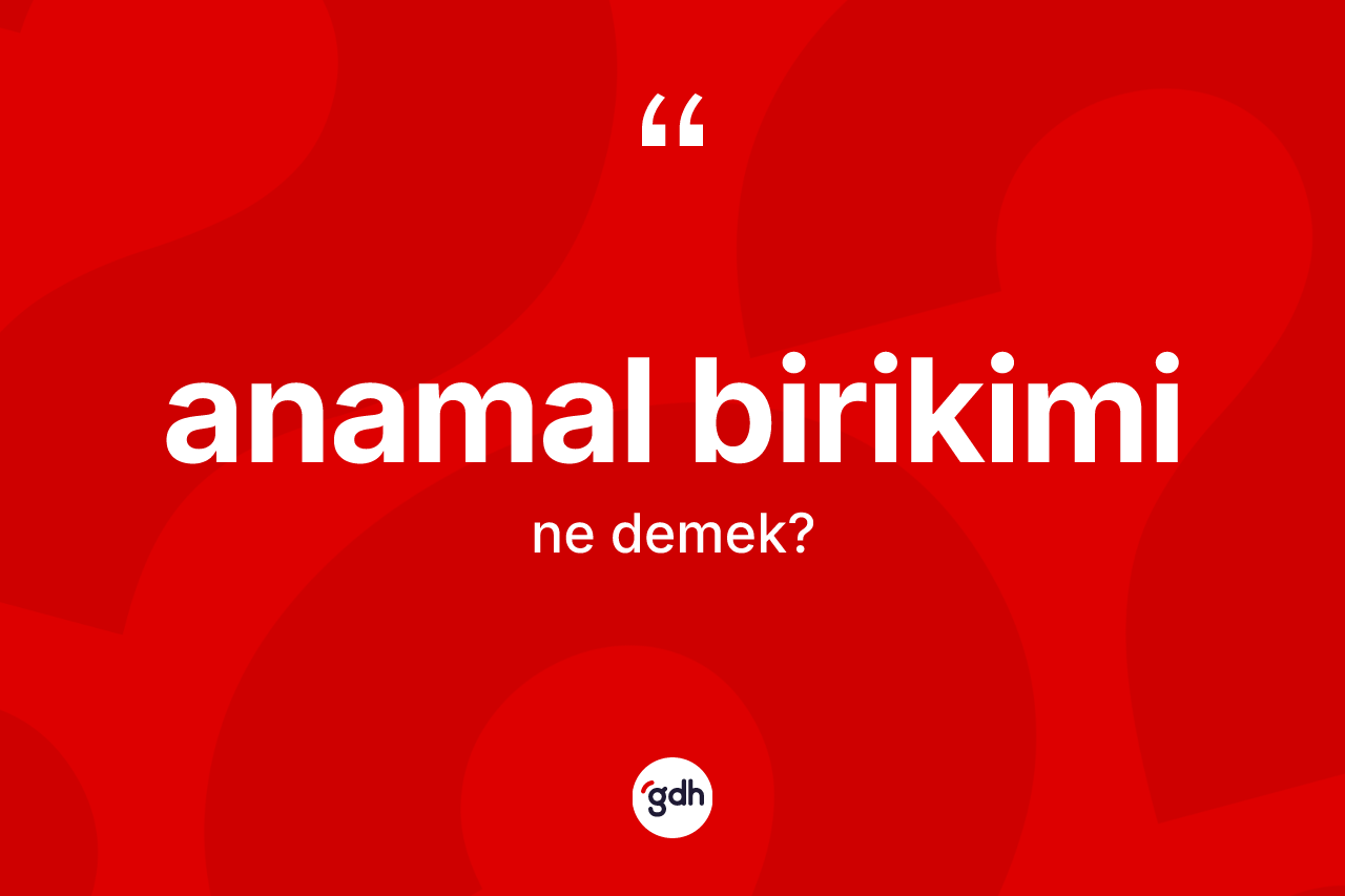 Anamal birikimi kelimesinin anlamı nedir? Anamal birikiminin halk arasındaki kullanımı nasıldır?