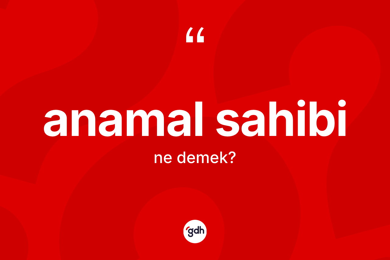 Anamal sahibi nedir?
