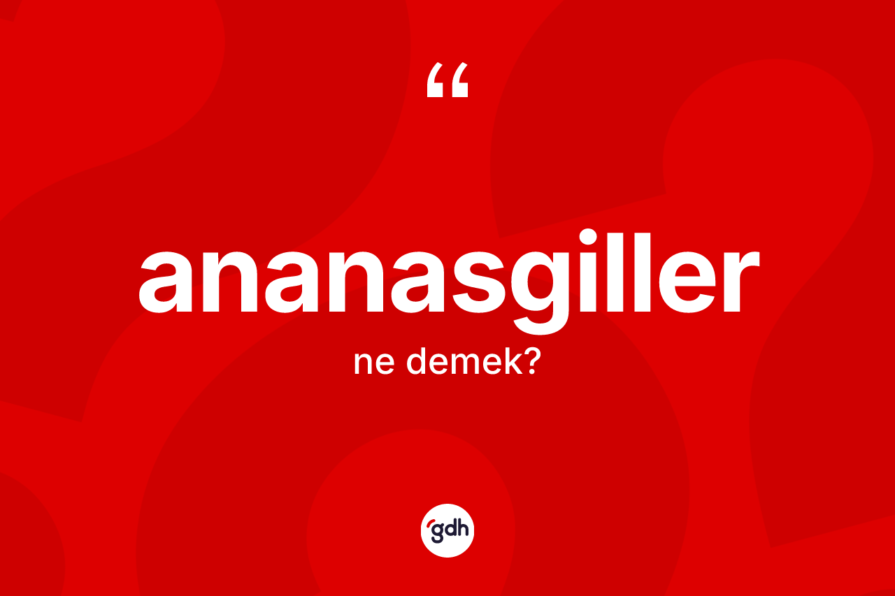 Ananasgiller kelimesi ne anlama gelir? Ananasgiller kelimesinin kaç farklı anlamı var?